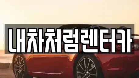 대구 동구 방촌동 렌트카 전문 내차처럼렌터카