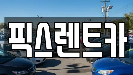 대구 동구 방촌동 렌트카 전문 픽스렌트카