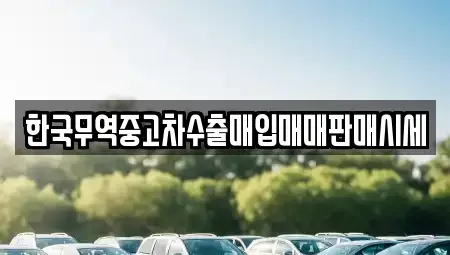 대구 동구 방촌동 중고차 전문 한국무역중고차수출매입매매판매시세