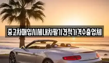 대구 동구 신용동 중고차 전문 중고차매입시세내차팔기견적가격수출업체