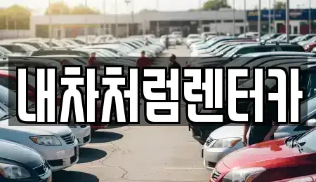 대구 북구 관음동 렌트카 전문 내차처럼렌터카