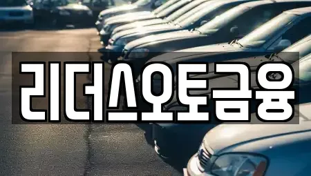 대구 서구 원대동2가 장기렌트카 전문 리더스오토금융
