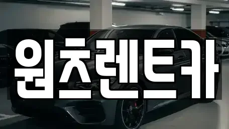 대구 수성구 수성동2가 렌트카 전문 원츠렌트카
