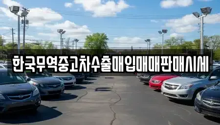 대구 수성구 수성동2가 중고차매매,단기렌트카,중고차매입,장기렌트카,중고차,렌트카