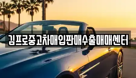 대구 수성구 수성동2가 중고차매입 전문 김프로중고차매입판매수출매매센터