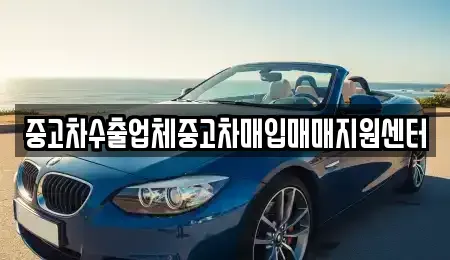 대구 수성구 수성동2가 중고차매입 전문 중고차수출업체중고차매입매매지원센터