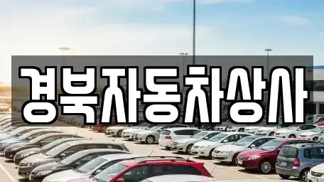 대구광역시 군위군 부계면 중고차매매,단기렌트카,중고차매입,장기렌트카,중고차,렌트카