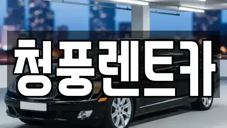 대전 대덕구 신탄진동 렌트카 전문 청풍렌트카