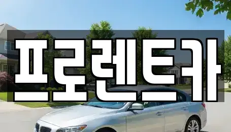 대전 대덕구 신탄진동 장기렌트카 전문 프로렌트카