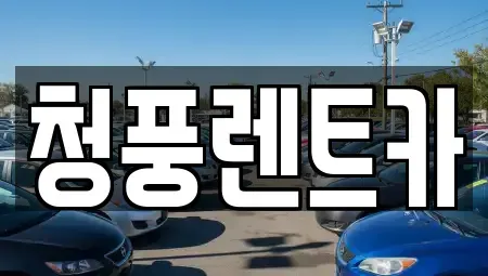 대전 대덕구 황호동 렌트카 전문 청풍렌트카