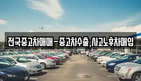 대전 대덕구 황호동 중고차매입 전문 전국중고차매매-중고차수출,사고노후차매입