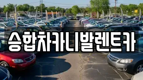 대전 유성구 도룡동 렌트카 전문 승합차카니발렌트카