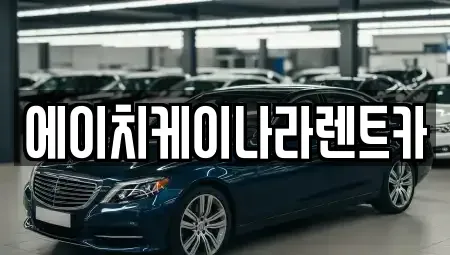 대전 유성구 도룡동 렌트카 전문 에이치케이나라렌트카