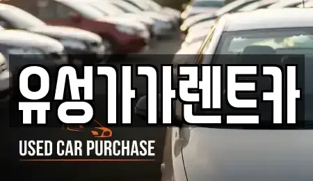 대전 유성구 도룡동 렌트카 전문 유성가가렌트카