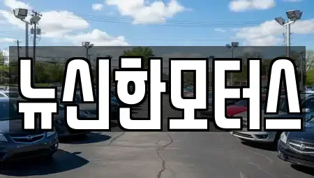 대전 유성구 도룡동 중고차 전문 뉴신한모터스