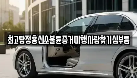 대전 유성구 도룡동 중고차 전문 최고탐정흥신소불륜증거미행사람찾기심부름