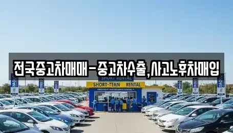 대전 유성구 도룡동 중고차매입 전문 전국중고차매매-중고차수출,사고노후차매입