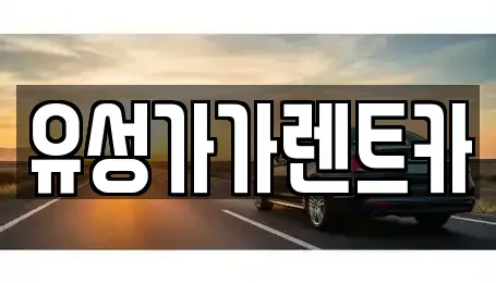 대전 유성구 전민동 렌트카 전문 유성가가렌트카