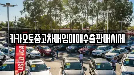 대전 유성구 전민동 중고차매입 전문 카카오토중고차매입매매수출판매시세