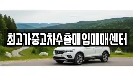 대전광역시 대덕구 삼정동 중고차매입 전문 최고가중고차수출매입매매센터