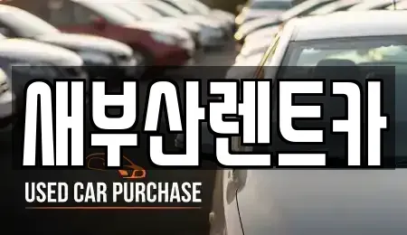 부산 사하구 괴정동 렌트카 전문 새부산렌트카