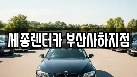 부산 사하구 괴정동 렌트카 전문 세종렌터카 부산사하지점