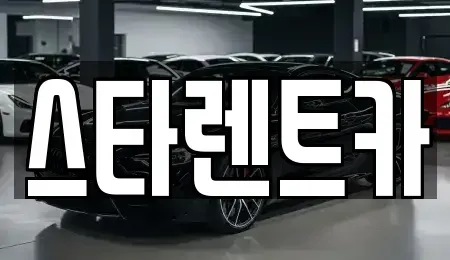 부산 사하구 괴정동 렌트카 전문 스타렌트카
