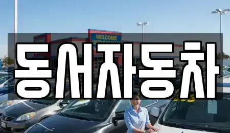 부산 사하구 괴정동 중고차 전문 동서자동차