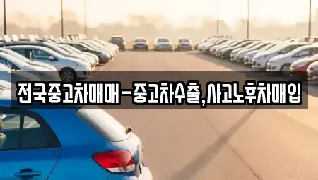 부산 사하구 괴정동 중고차 전문 전국중고차매매-중고차수출,사고노후차매입