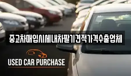 부산 사하구 괴정동 중고차,렌트카,중고차매입,중고차매매,장기렌트카,단기렌트카