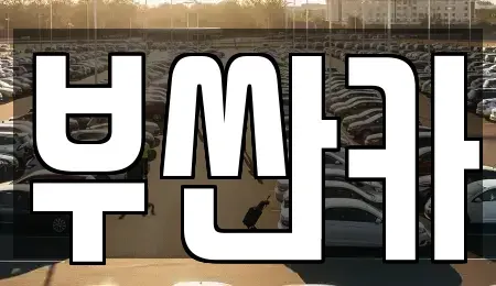부산광역시 사상구 감전동 중고차 전문 부싼카