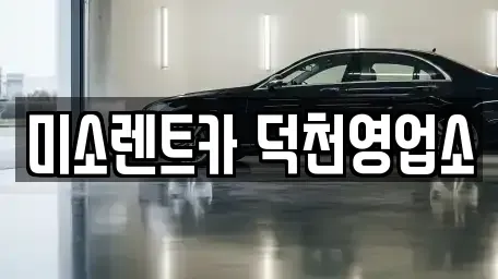 부산광역시 사상구 장기렌트카 전문 미소렌트카 덕천영업소