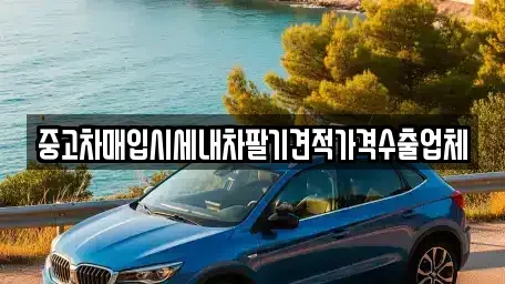 부산광역시 사상구 중고차매입 전문 중고차매입시세내차팔기견적가격수출업체