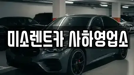 부산광역시 사하구 신평동 렌트카 전문 미소렌트카 사하영업소
