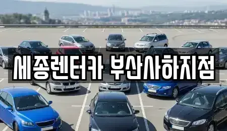 부산광역시 사하구 신평동 렌트카 전문 세종렌터카 부산사하지점