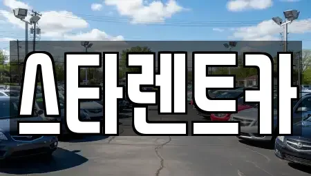 부산광역시 사하구 신평동 렌트카 전문 스타렌트카