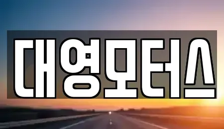 부산광역시 사하구 신평동 중고차 전문 대영모터스