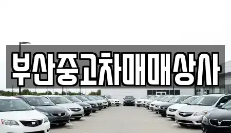 부산광역시 사하구 신평동 중고차매매 전문 부산중고차매매상사