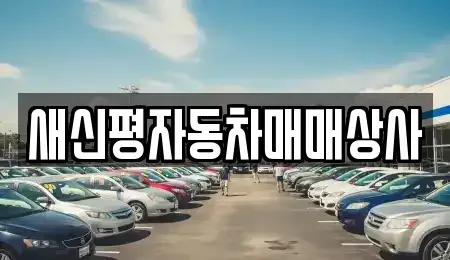 부산광역시 사하구 신평동 중고차매입 전문 새신평자동차매매상사