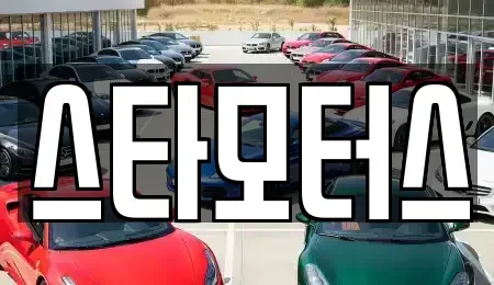 부산광역시 사하구 신평동 중고차매입 전문 스타모터스