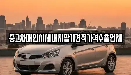 부산광역시 사하구 신평동 중고차매입 전문 중고차매입시세내차팔기견적가격수출업체