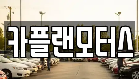 부산광역시 수영구 광안동 장기렌트카 전문 카플랜모터스