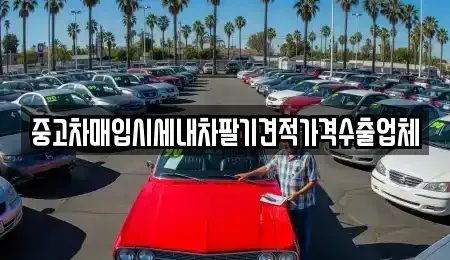 부산광역시 수영구 광안동 중고차 전문 중고차매입시세내차팔기견적가격수출업체
