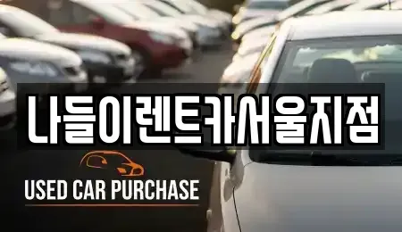 서울 강남구 청담동 렌트카 전문 나들이렌트카서울지점