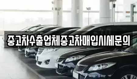 서울 강남구 청담동 중고차 전문 중고차수출업체중고차매입시세문의