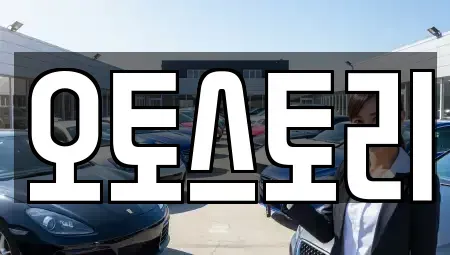 서울 강서구 마곡동 중고차,렌트카,중고차매입,중고차매매,장기렌트카,단기렌트카
