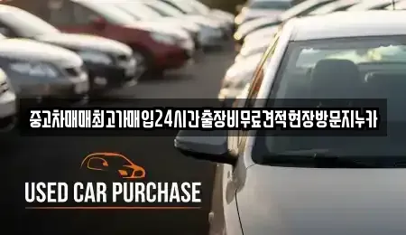 서울 강서구 마곡동 중고차매입 전문 중고차매매최고가매입24시간출장비무료견적현장방문지누카