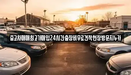서울 구로구 온수동 중고차매입 전문 중고차매매최고가매입24시간출장비무료견적현장방문지누카