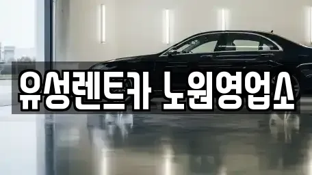 서울 노원구 렌트카 전문 유성렌트카 노원영업소