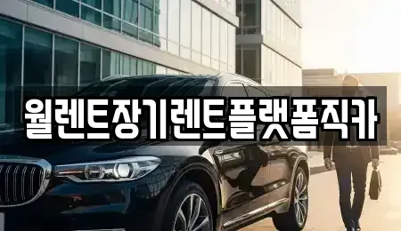 서울 노원구 장기렌트카 전문 월렌트장기렌트플랫폼직카